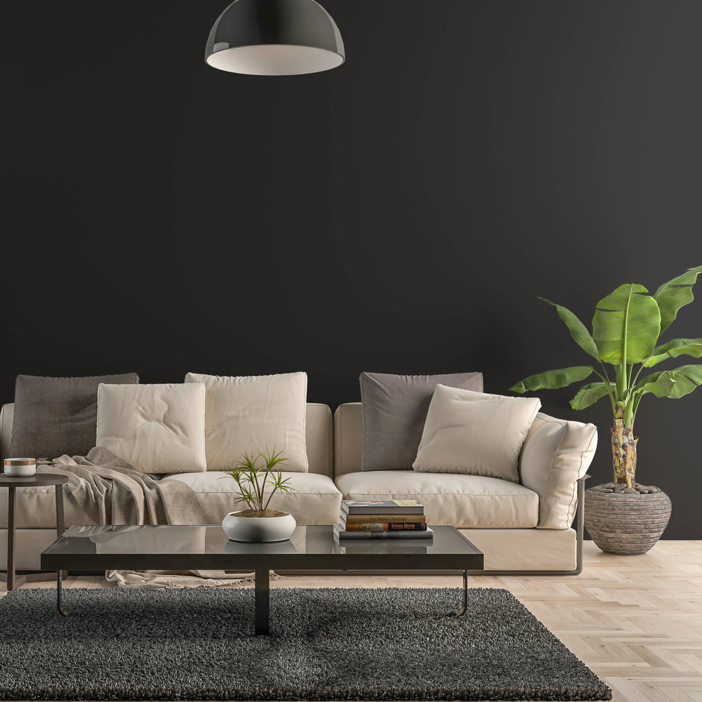 Blick auf eine Kreidefarbe Nr. 55 Schwarz gestrichene Wand