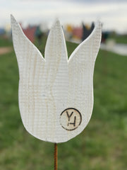 yellowchair exterior color for wood Deggwiss / opaque white