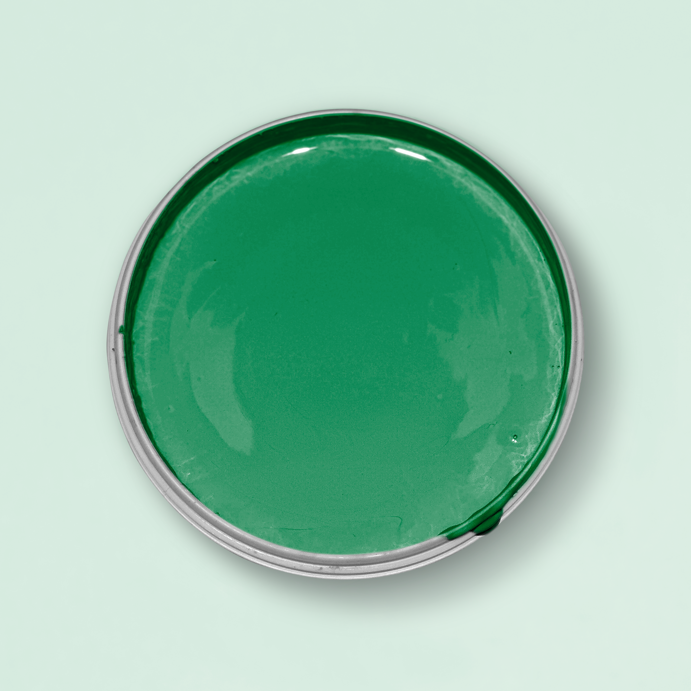 Blick in die offene Dose Yellowchair Nr. 25 Kleegrün