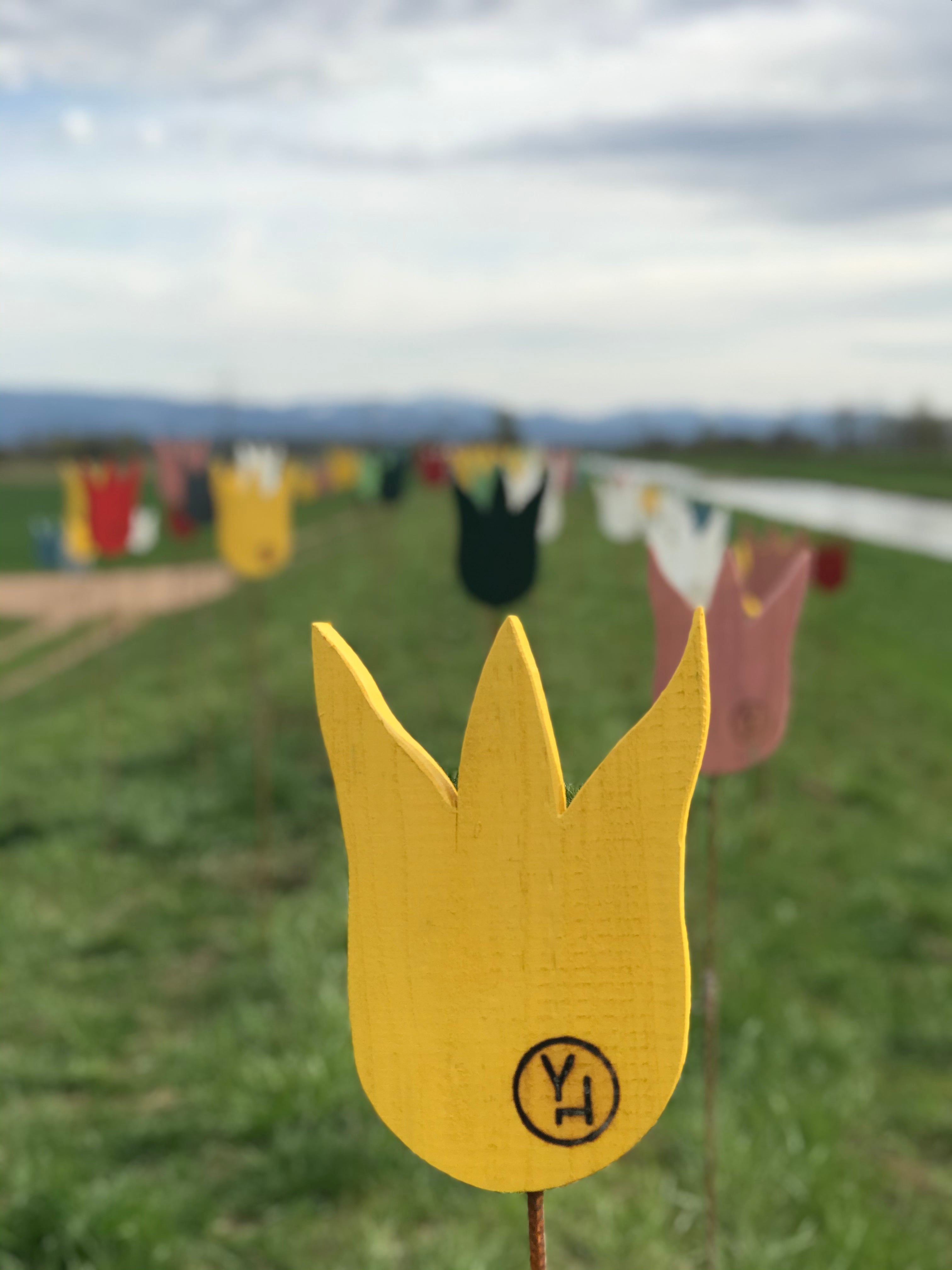 yellowchair exterior color for wood Sunnegäl / sun yellow