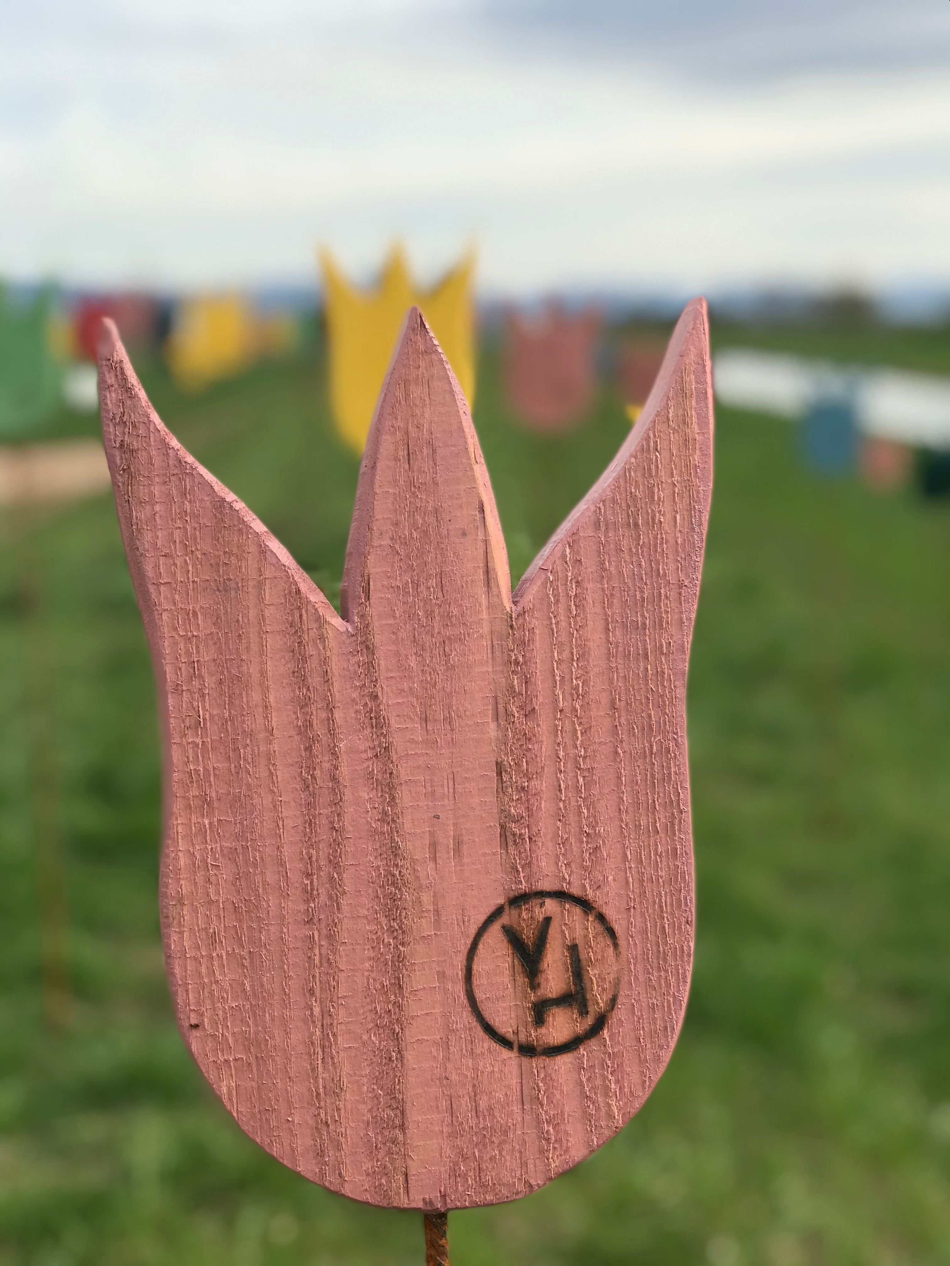 couleur extérieur yellowchair pour bois Aldrosa / vieux rose