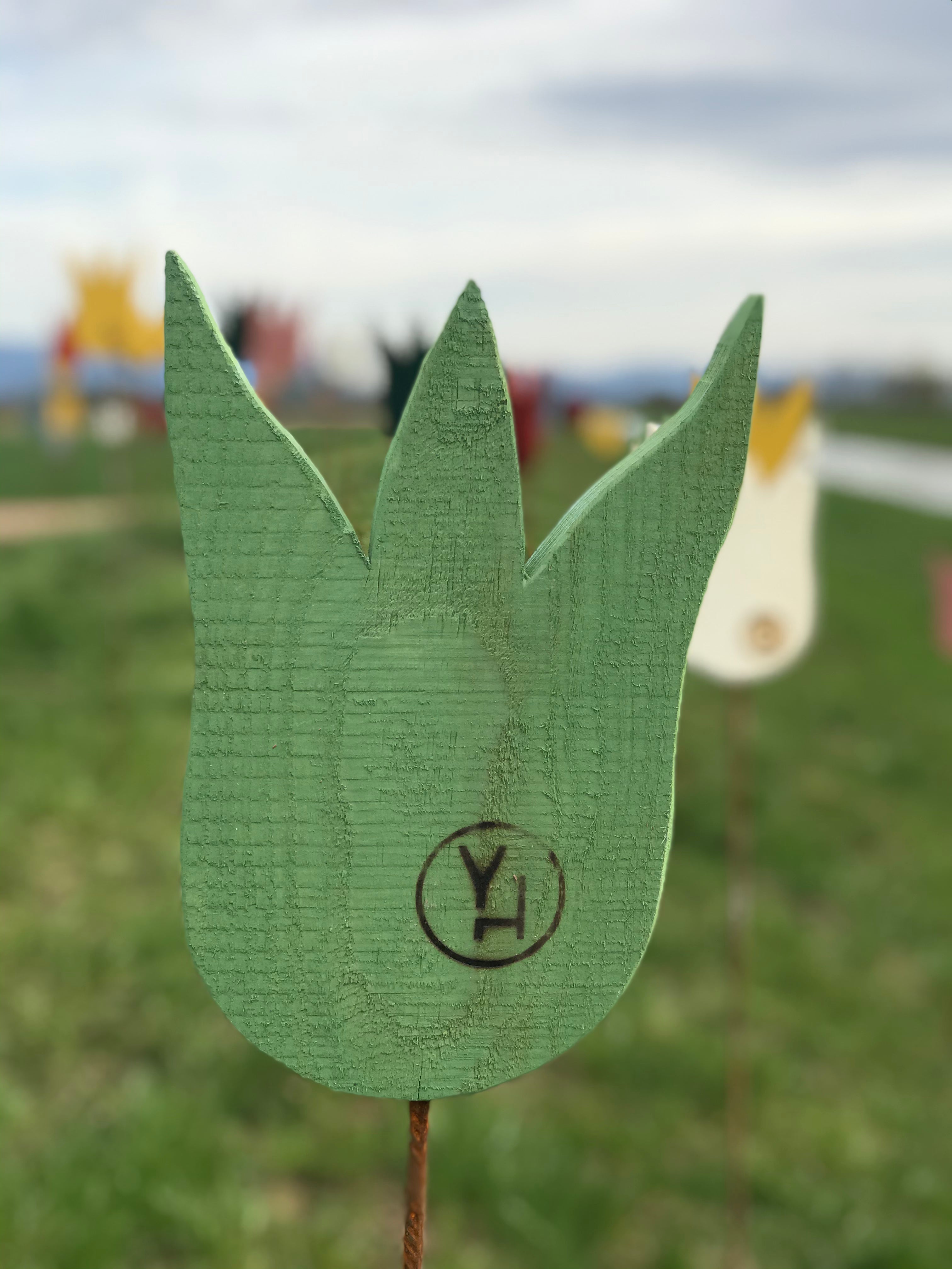 yellowchair couleur extérieure pour bois vert printemps / vert printemps