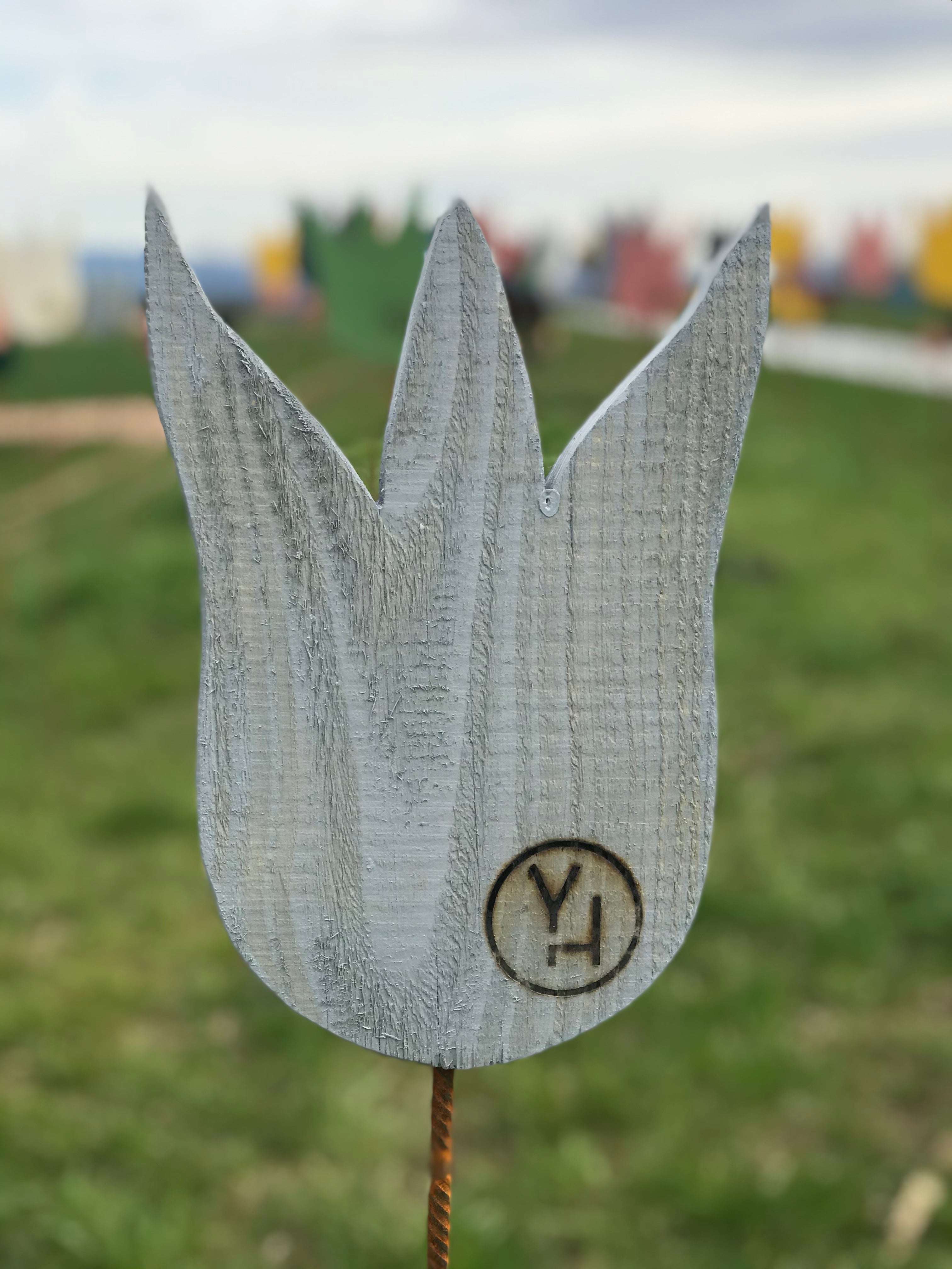 couleur extérieure yellowchair pour bois Silwagroi / gris argent